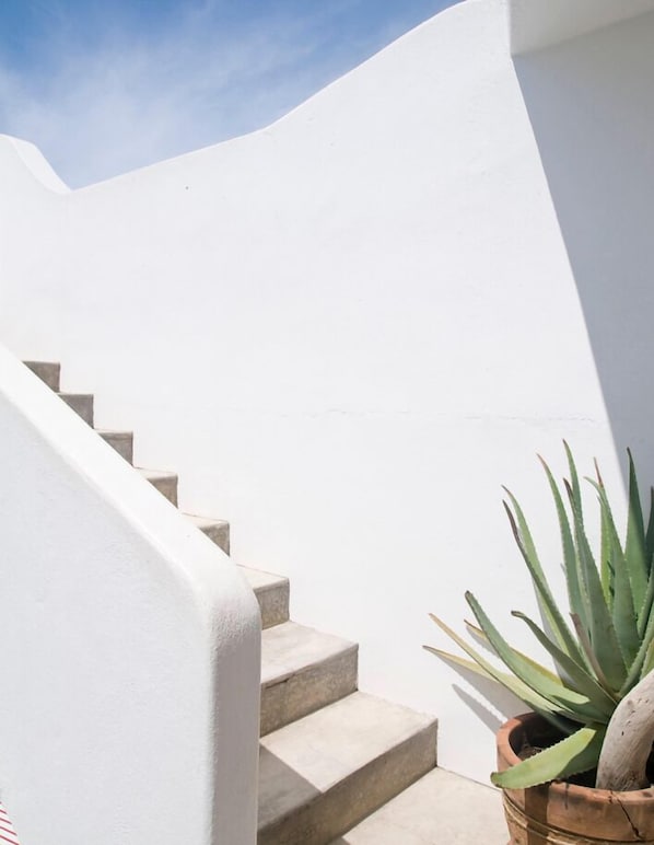 Detalle del exterior