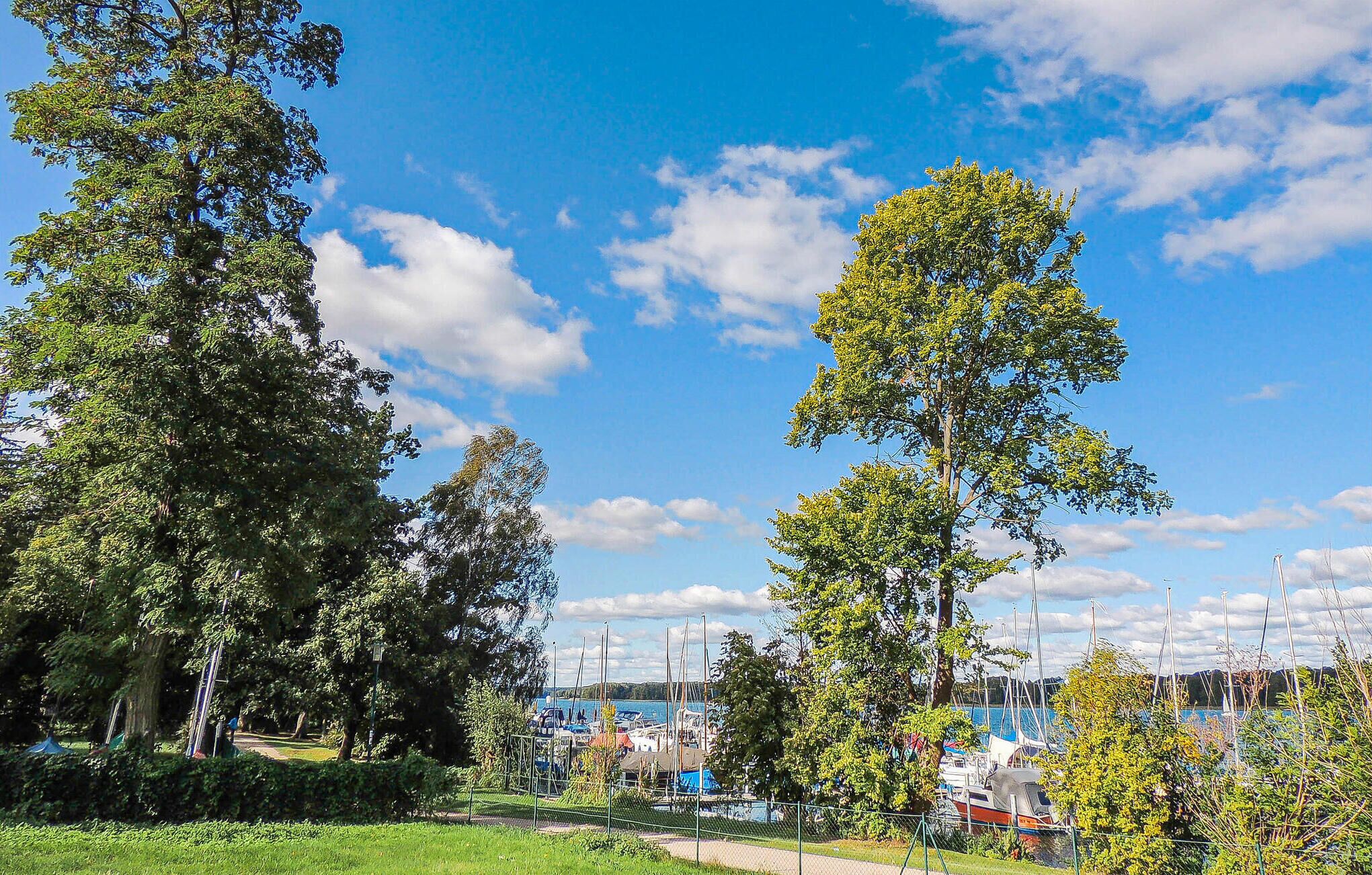 A marina with boats, surrounded by trees and a clear sky.