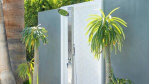 A modern shower enclosure with a geometric pattern, surrounded by tropical plants and a palm tree.
