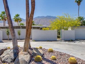 A desert landscape with palm trees, cacti, and a mountain in the background.