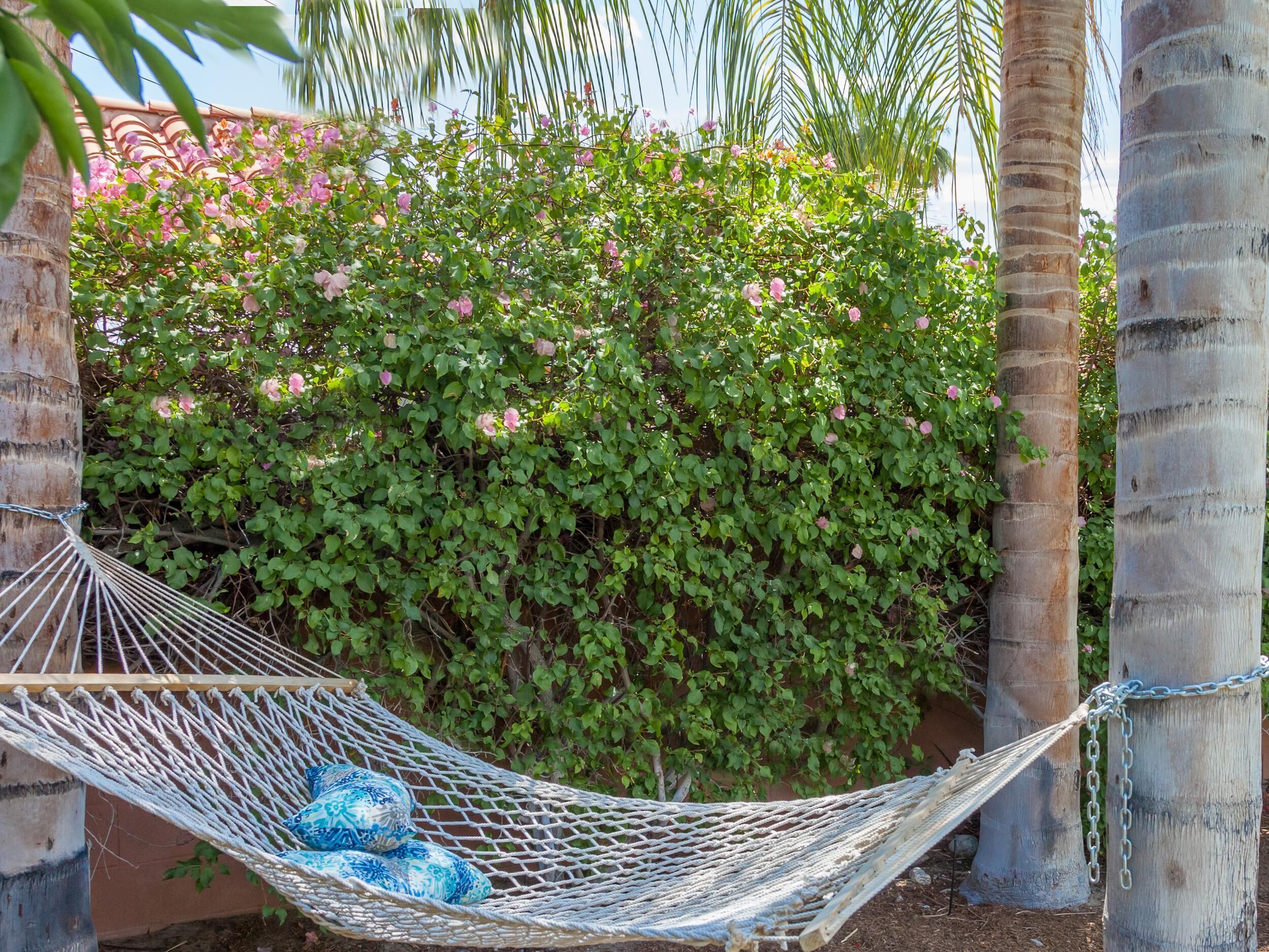 A hammock tied between two trees in a garden with a wall of flowering vines in the background.