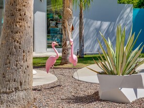 House, 3 Bedrooms | Property grounds