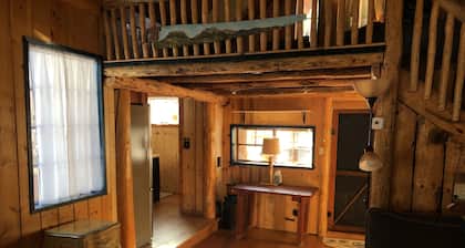 Beautiful Cabin in Frisco. Walk to town. Bike and ski from the front door.