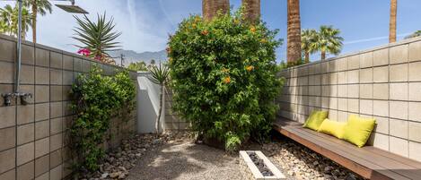 A patio area with a seating bench, a small garden with rocks and plants, and tall palm trees in the background.