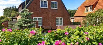 House Stojan - 3-room apartment