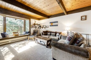 TV, fireplace, DVD player, books