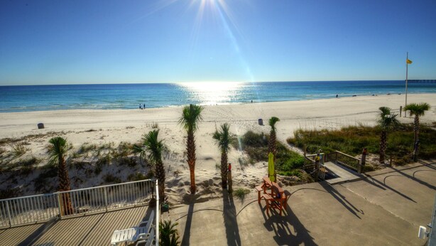 A beach with a clear sky, palm trees, and a boardwalk leading to the water.