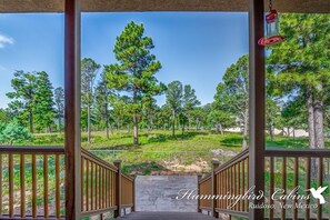 Property grounds - Texas Gambler provides a true mountain experience.  Pet Friendly! (Ruidoso)