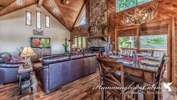 Télévision, cheminée