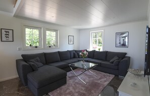 Fernseher, Kamin