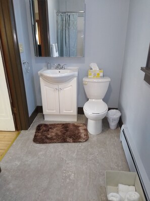 Bathroom features a sink, toilet, and mirror, with a rug and trash bin.