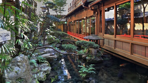 Een traditionele Japanse tuin met een vijver met koi-karpers, houten looppaden en weelderige begroeiing.