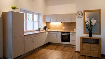 Fridge, oven, stovetop, dishwasher