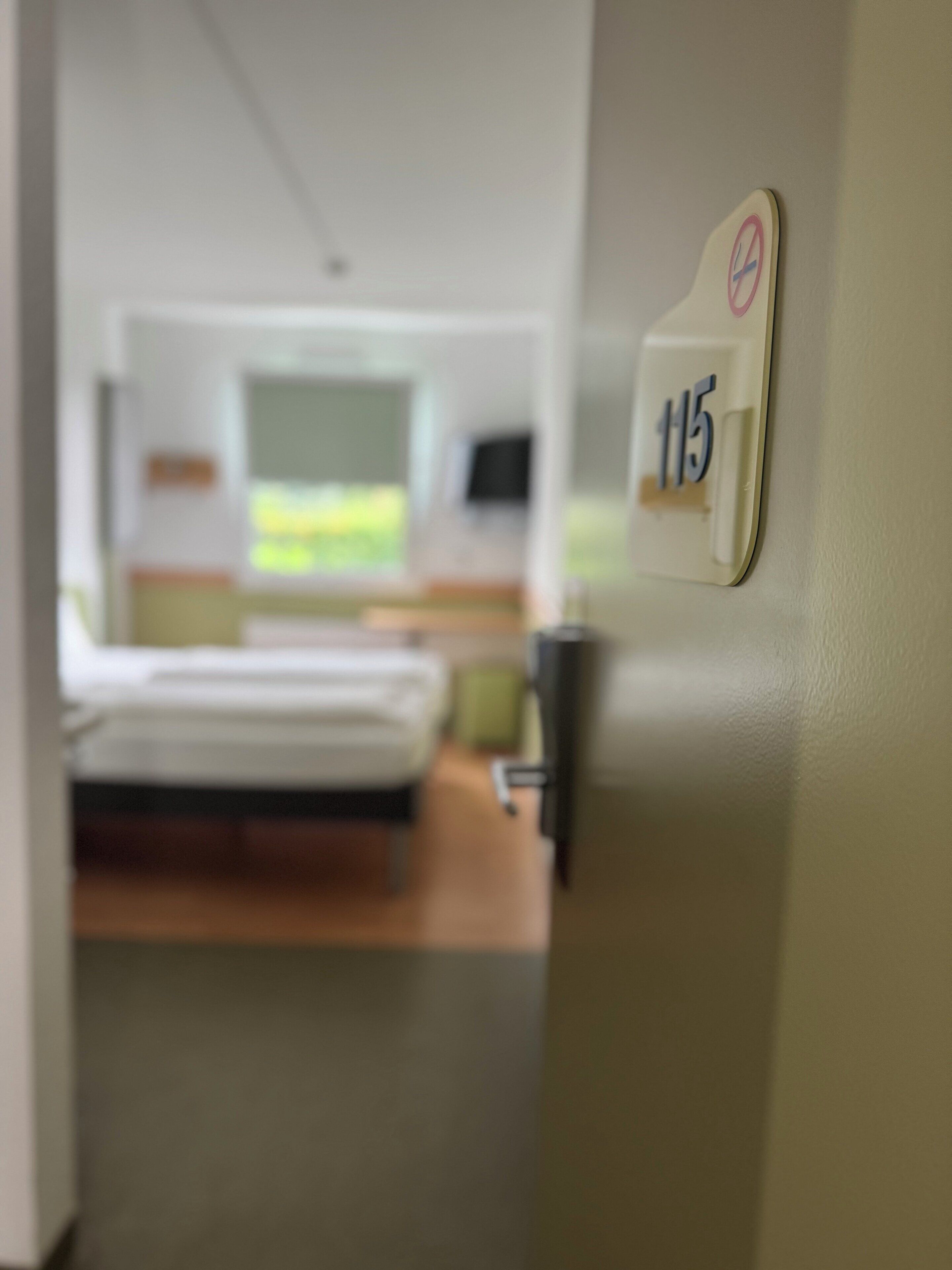 A door with a number sign indicating room 115, a no-smoking sign, and a view into a room with a bed and a window.