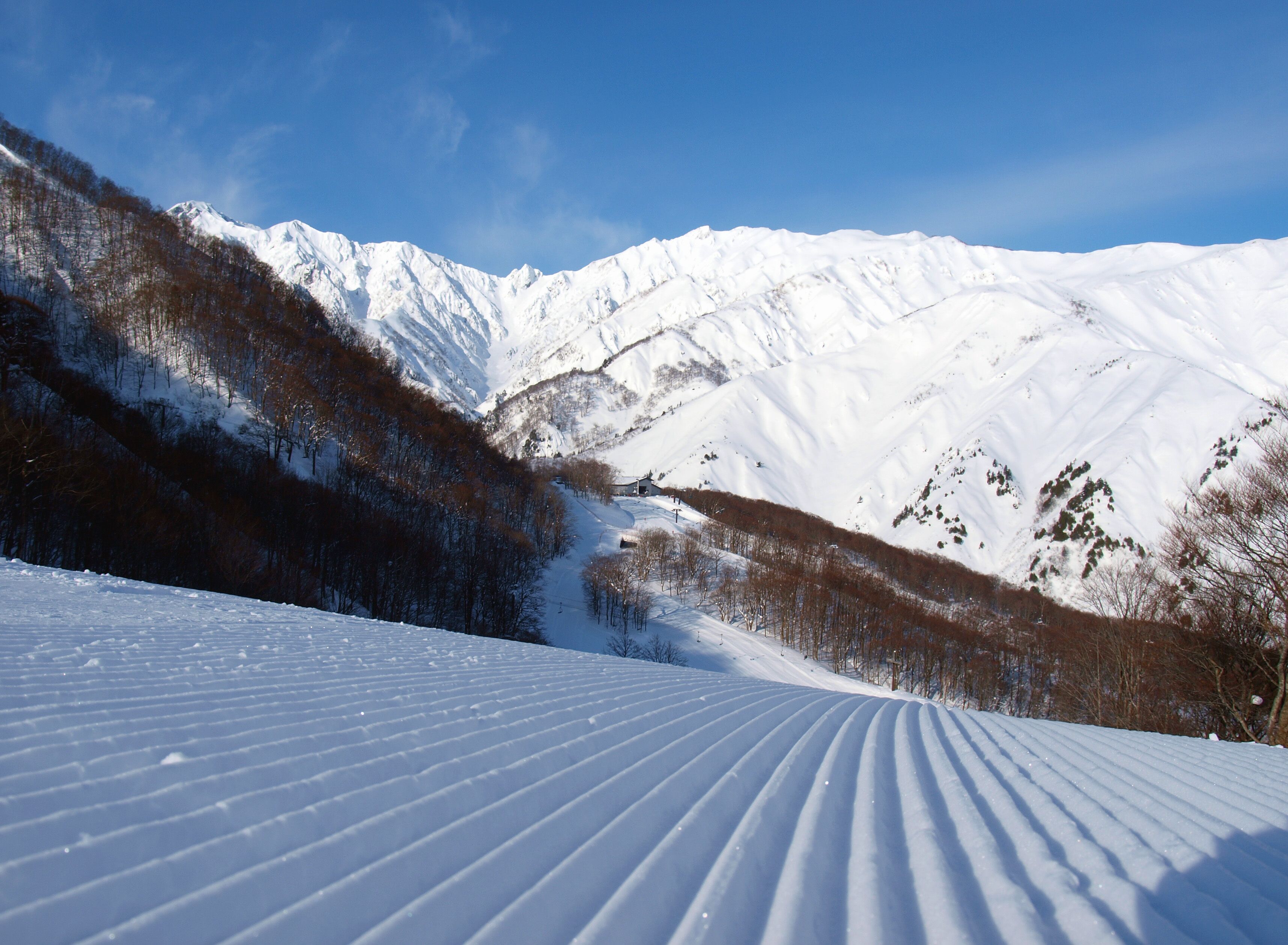 A snow-covered mountain landscape with a ski slope.