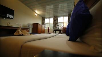 Galaxy Room | View from room