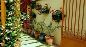 Property grounds - Kruja Hotel (Tirana)