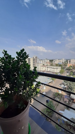 Standard King Room | City view