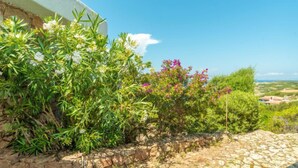 A stone pathway leading to a white building with lush greenery and flowering plants. - Sa Murta by Interhome (Portobello)