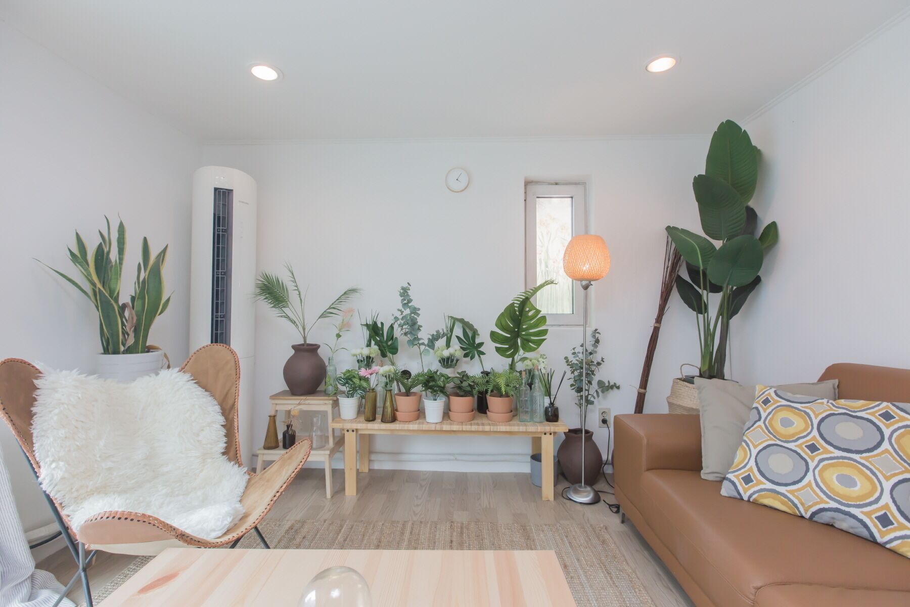 패밀리 스위트 | 거실 | 평면 TV