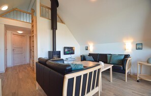 TV, fireplace, DVD player