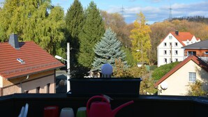 A residential area with houses, a large evergreen tree, and a power line tower in the background. - Living in the countryside (Dresden)
