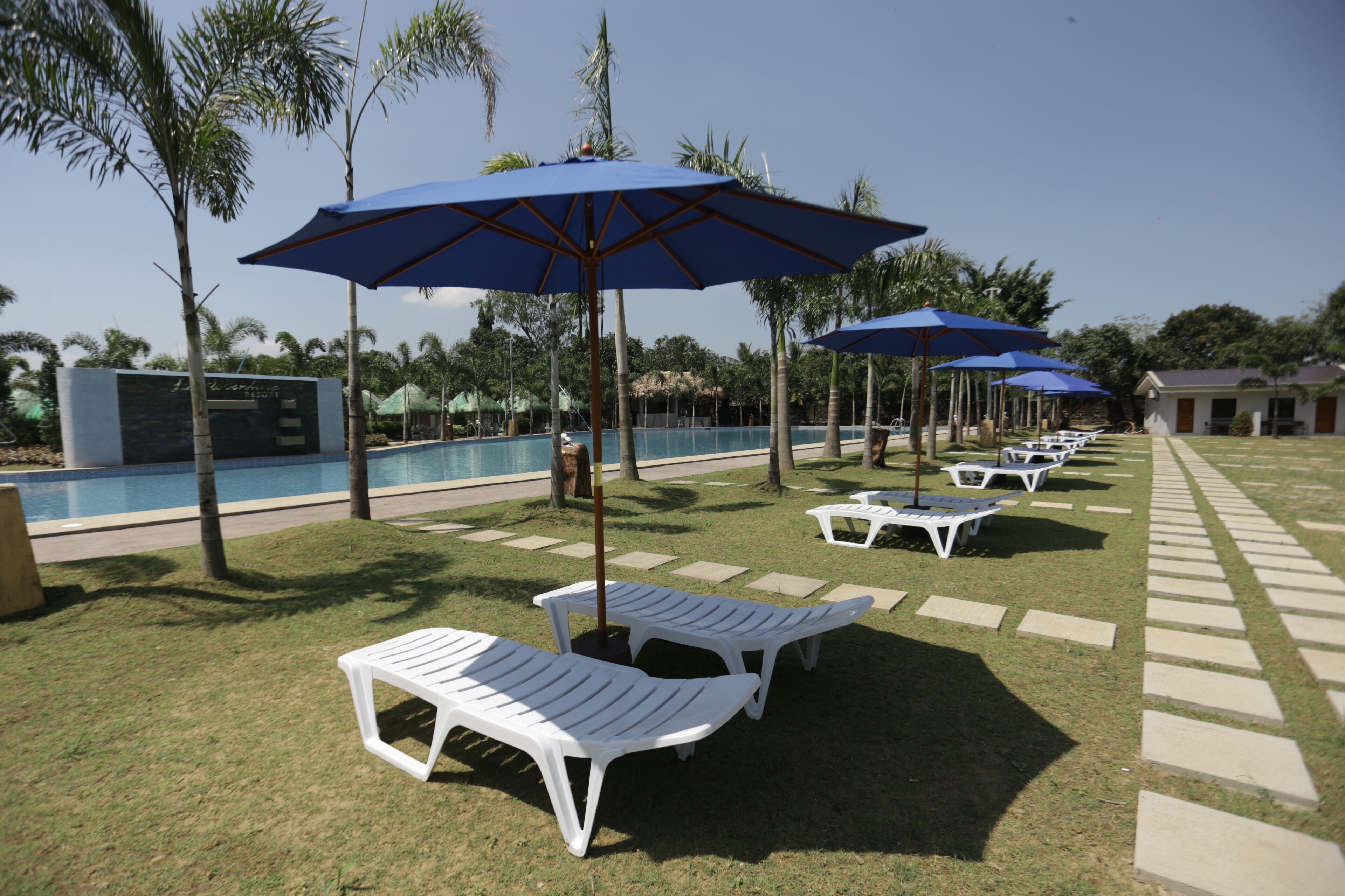 Un área junto a la piscina con sillas reclinables blancas y sombrillas azules, rodeada de palmeras y un cielo despejado.