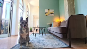 Living area - Flea Market Studios (Tel Aviv)