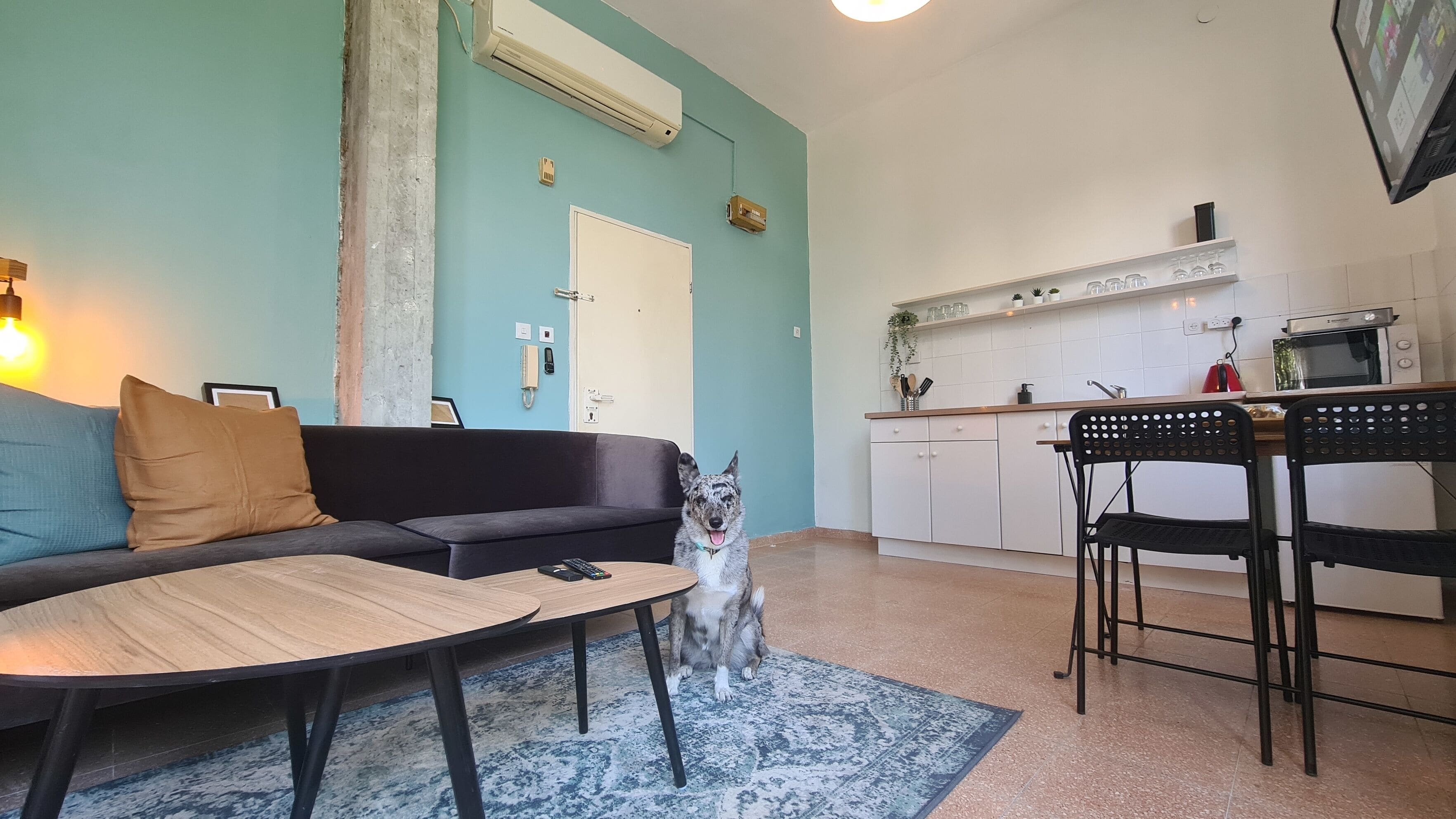 A living room with a sofa, a coffee table, and a dog. There is a kitchen area with a microwave, a sink, and cabinets.