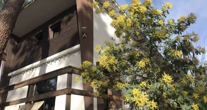 Villa of the 60s under the pines