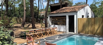 Villa of the 60s under the pines