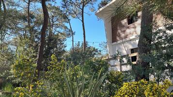 DĂ©tail de lâextĂ©rieur