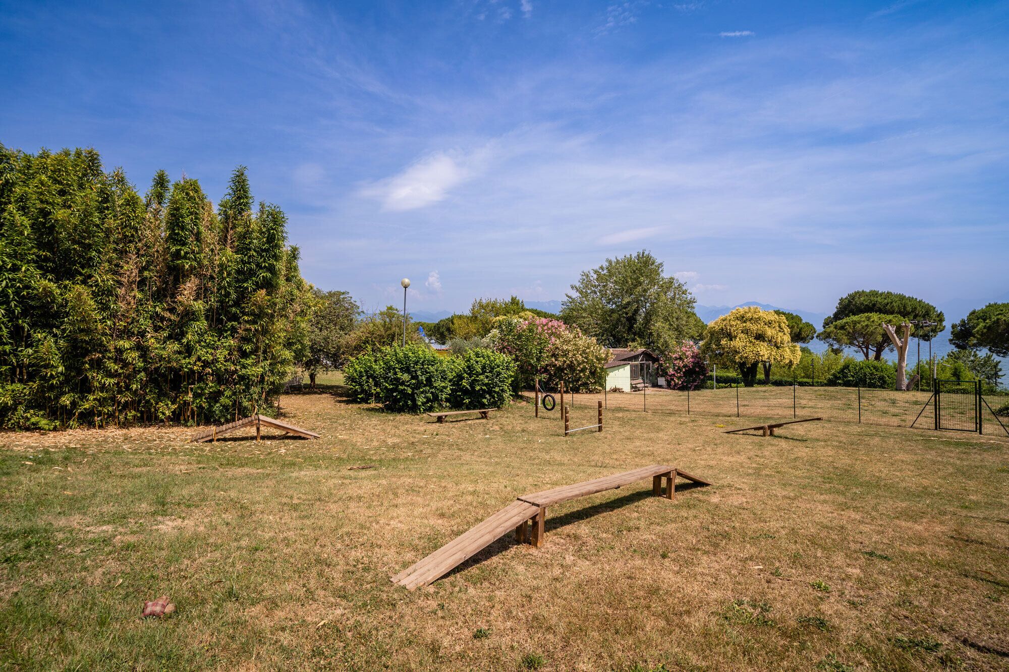 Un espacio al aire libre con césped, un banco de madera, árboles y un pequeño edificio.
