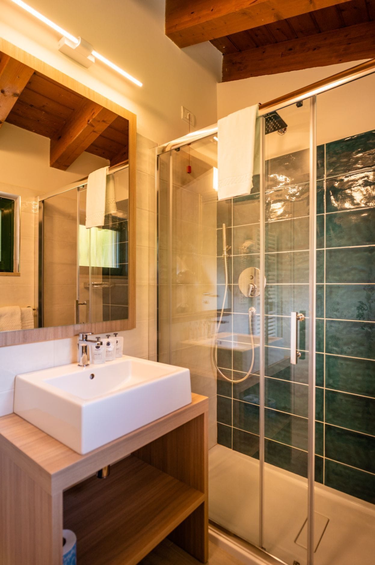 deluxe apartment, 1 bedroom, lake view, lakeside (pet friendly) | bathroom | shower, hair dryer, towels