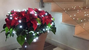A potted plant with red flowers and white lights, placed near a staircase. - Guesthouse San Domenico (Augusta)