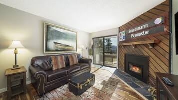 Televisión de pantalla plana, chimenea y reproductor de DVD