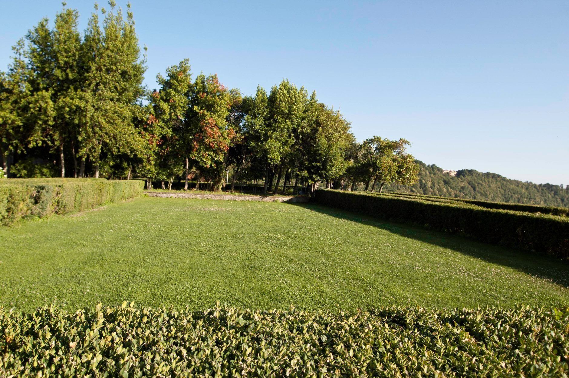 A well-maintained grassy field with a hedge in the foreground, trees in the background, and a clear sky.