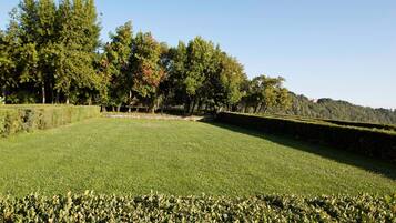 A well-maintained grassy field with a hedge in the foreground, trees in the background, and a clear sky.