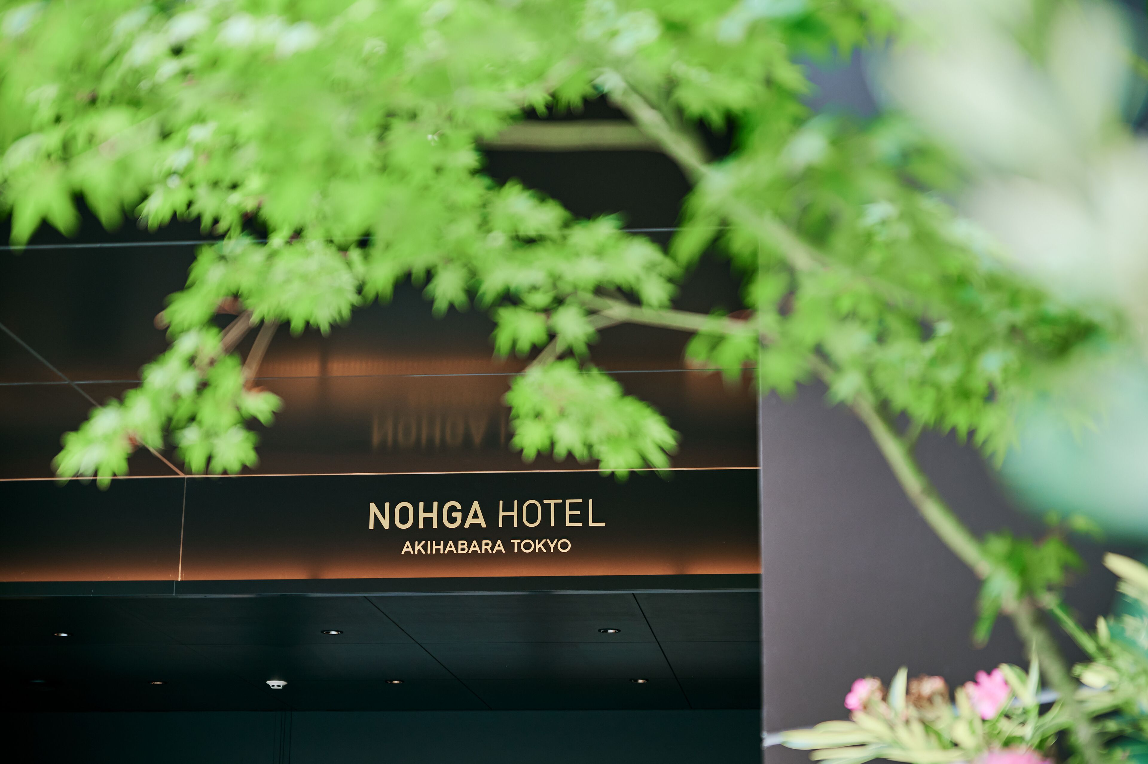 Photo - Nohga Hotel Akihabara Tokyo