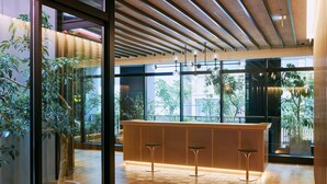 A modern interior with a wooden reception desk, two bar stools, and a large potted plant.