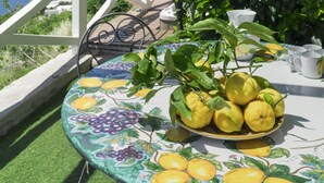 A table with a fruit bowl containing lemons and grapes, a potted plant, and a view of the sea and mountains. - Elia's room: Double room with bathroom and shared terrace with sea view (Praiano)