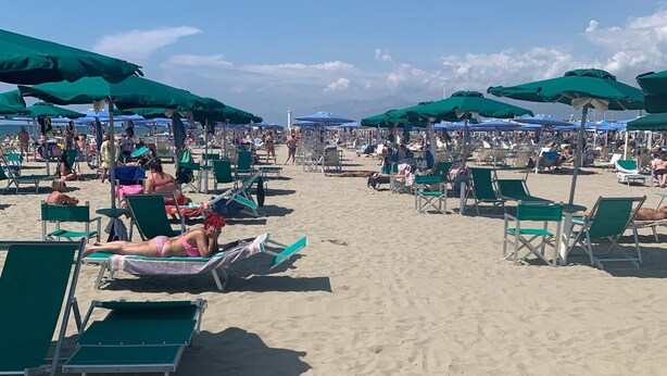 Una playa con hileras de sillas de playa verdes y sombrillas, arena y un cielo azul despejado.