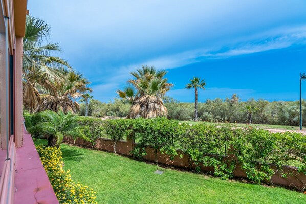 A lush garden with palm trees and a well-maintained lawn. - Las Palmeras - Punta del Moral Beach PLHP3P20 (Punta del Moral)