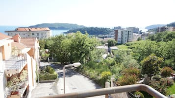 Apartment, 1 Bedroom | View from room