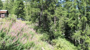A cabin surrounded by dense forest and wildflowers. - Ski-In/Ski-Out Apt, 2 Rooms, Mountain Corner, Sleeps 4, Central Vars, Near Slopes & Shops (Vars)