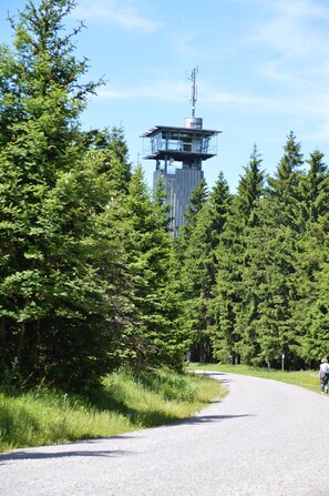 Hiking - Hotel Auerhahn am Rennsteig (Masserberg)