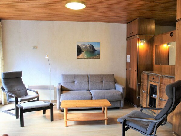 Fernseher