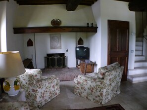 TV, fireplace, books