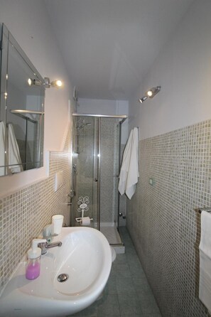 Shower, free toiletries, hair dryer, bidet - B&B Le Cascine (Pisa)