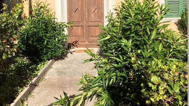 Un edificio con una puerta de madera doble, un ventanal verde y el número 58 en la pared.